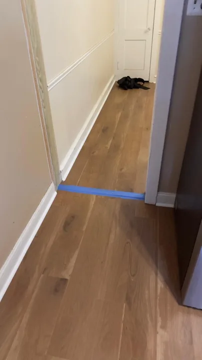 Wide warm-toned planks connecting residential rooms