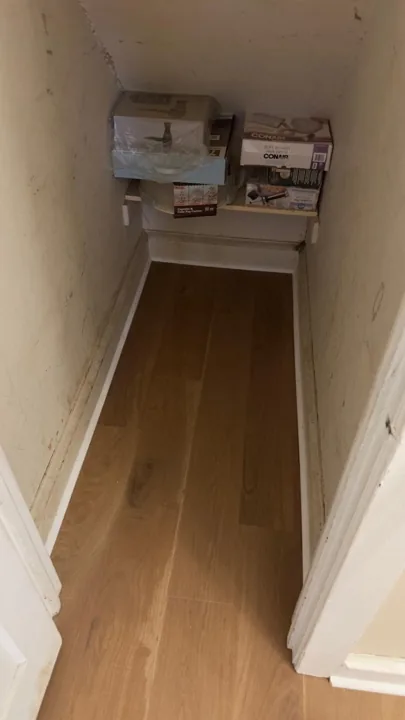 Wide warm-toned planks connecting residential rooms